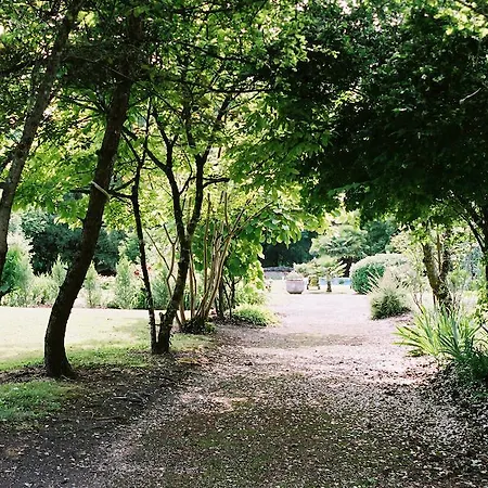 Konukevi Chateau De Mesnac