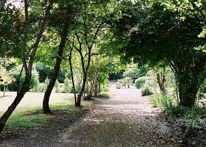 Affittacamere Chateau De Mesnac